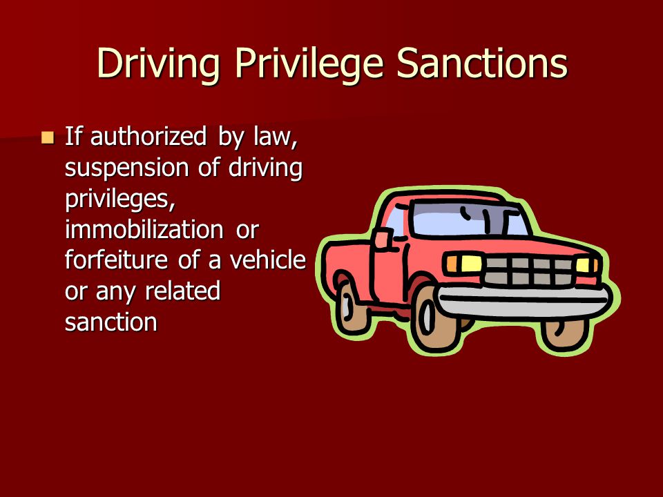 Is Driving Privilege or Right Essay Sample